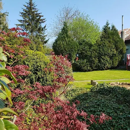 Wunderschoenes In Gross Schoritz Mit Garten, Grill Und Terrasse *